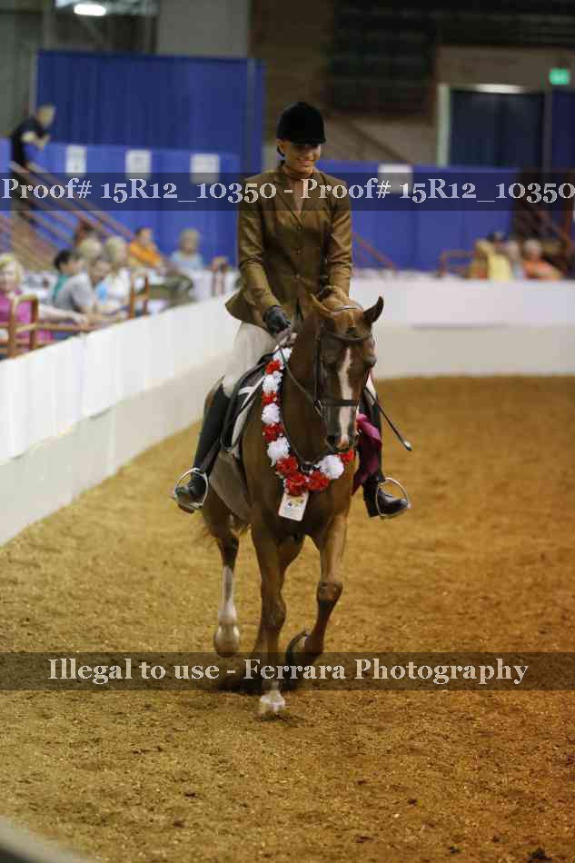 Proof Number 15R12_10350
