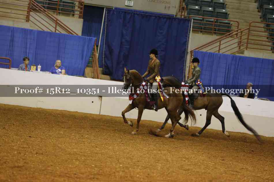 Proof Number 15R12_10351