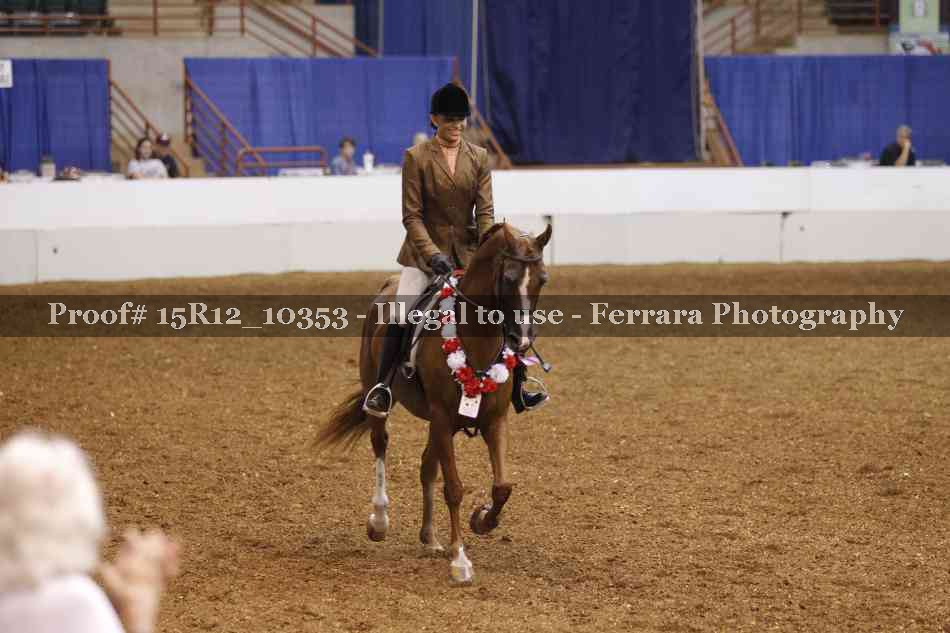 Proof Number 15R12_10353
