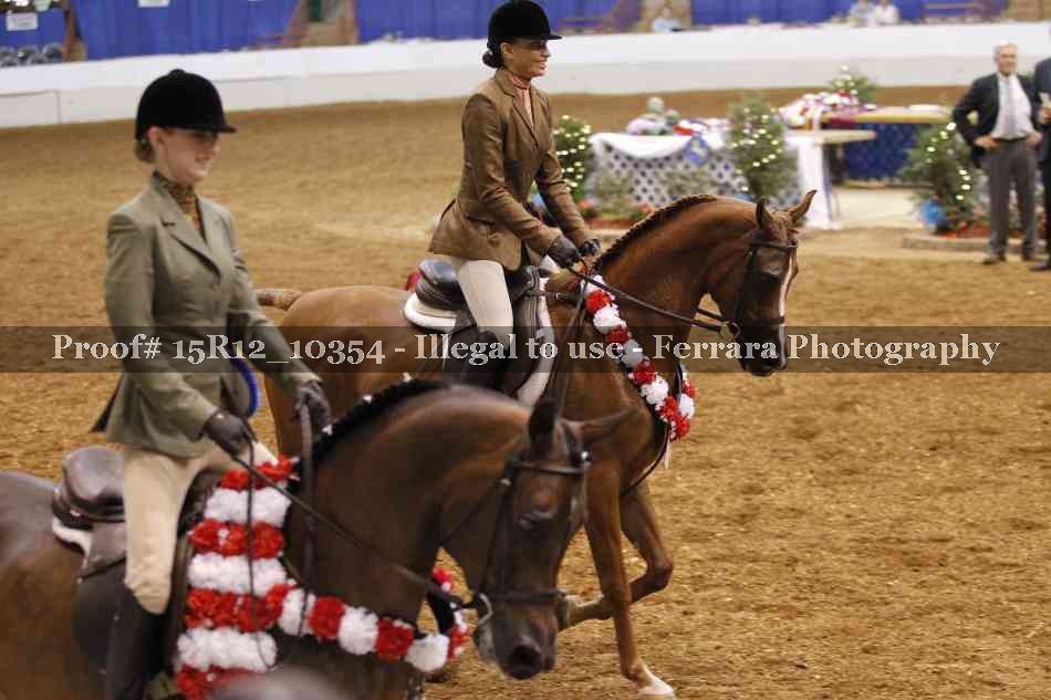 Proof Number 15R12_10354