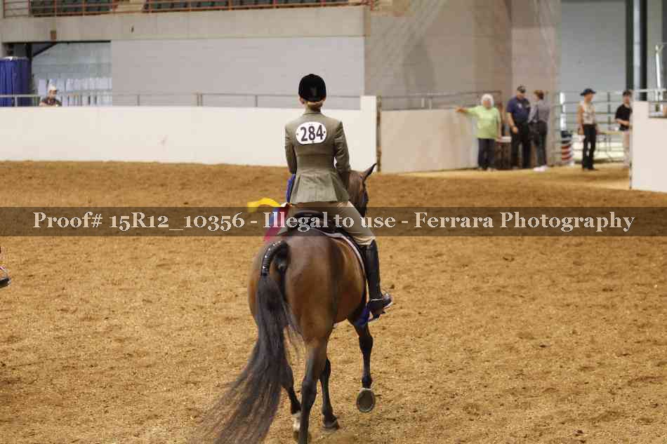 Proof Number 15R12_10356