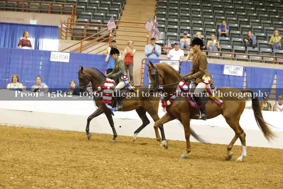 Proof Number 15R12_10361
