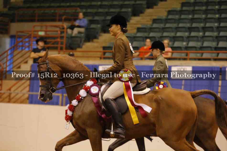 Proof Number 15R12_10363