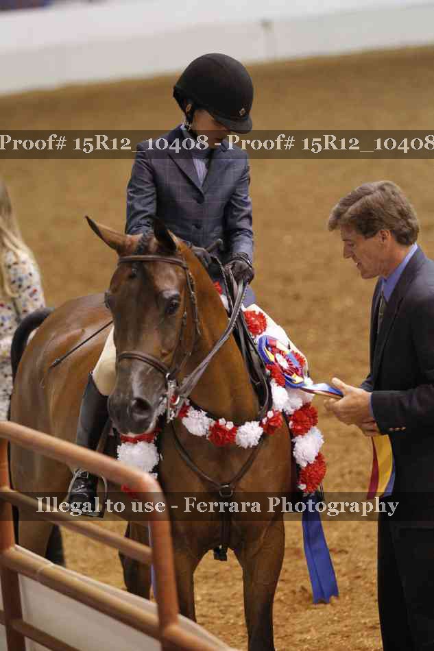 Proof Number 15R12_10408