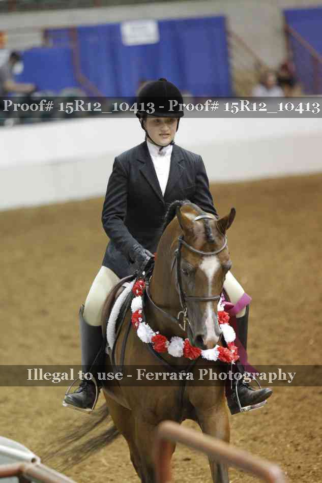 Proof Number 15R12_10413