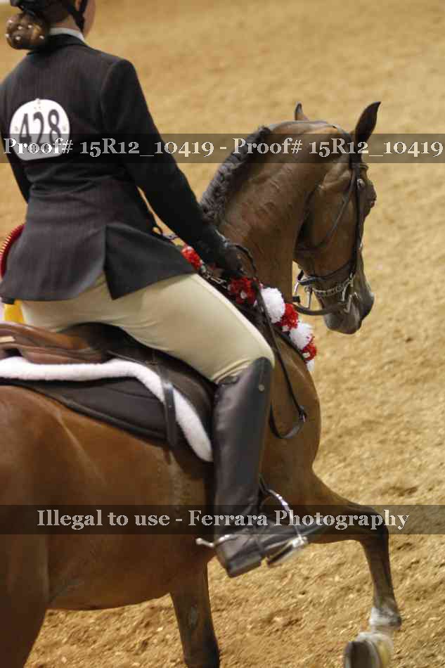 Proof Number 15R12_10419