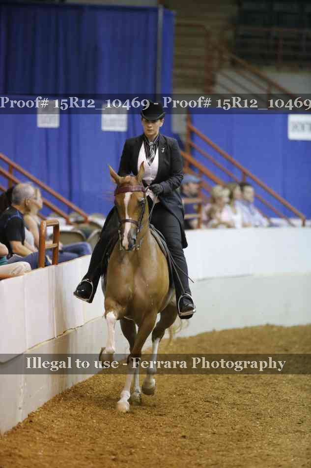 Proof Number 15R12_10469