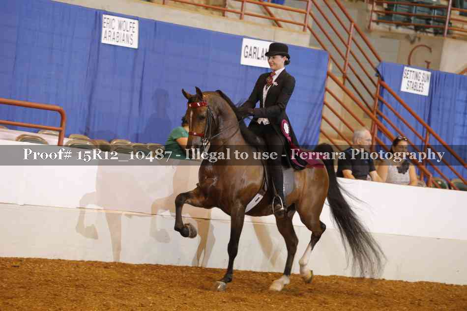 Proof Number 15R12_10487