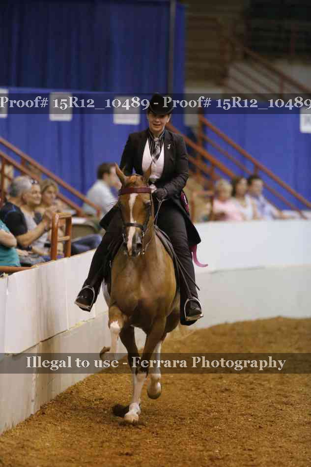 Proof Number 15R12_10489