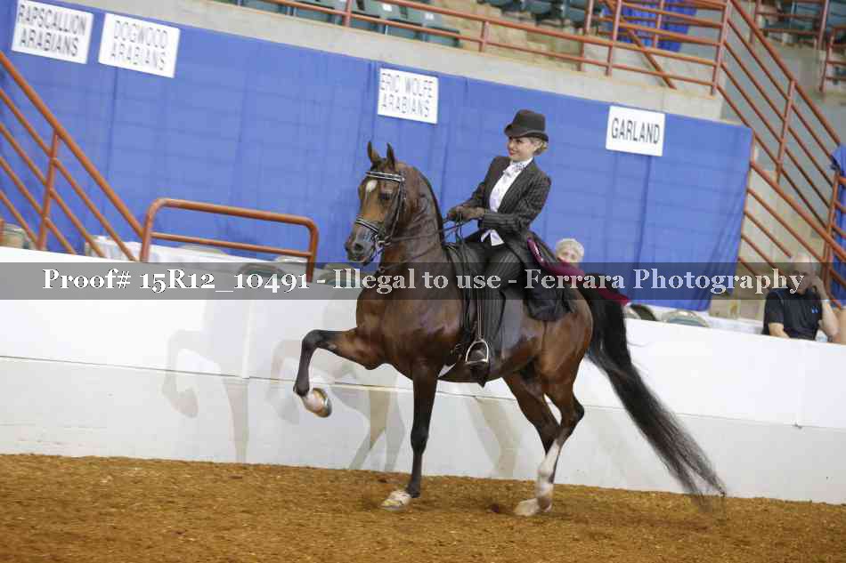 Proof Number 15R12_10491
