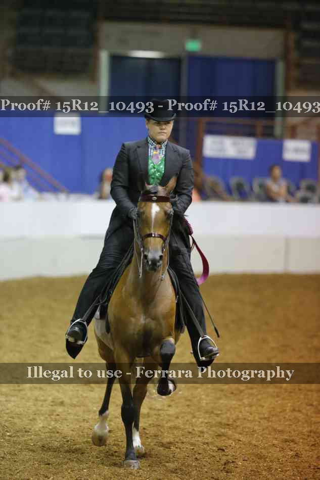 Proof Number 15R12_10493