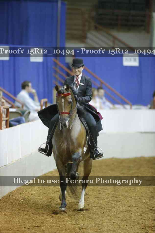 Proof Number 15R12_10494