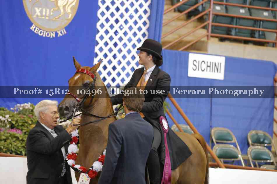 Proof Number 15R12_10496