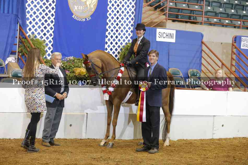 Proof Number 15R12_10497