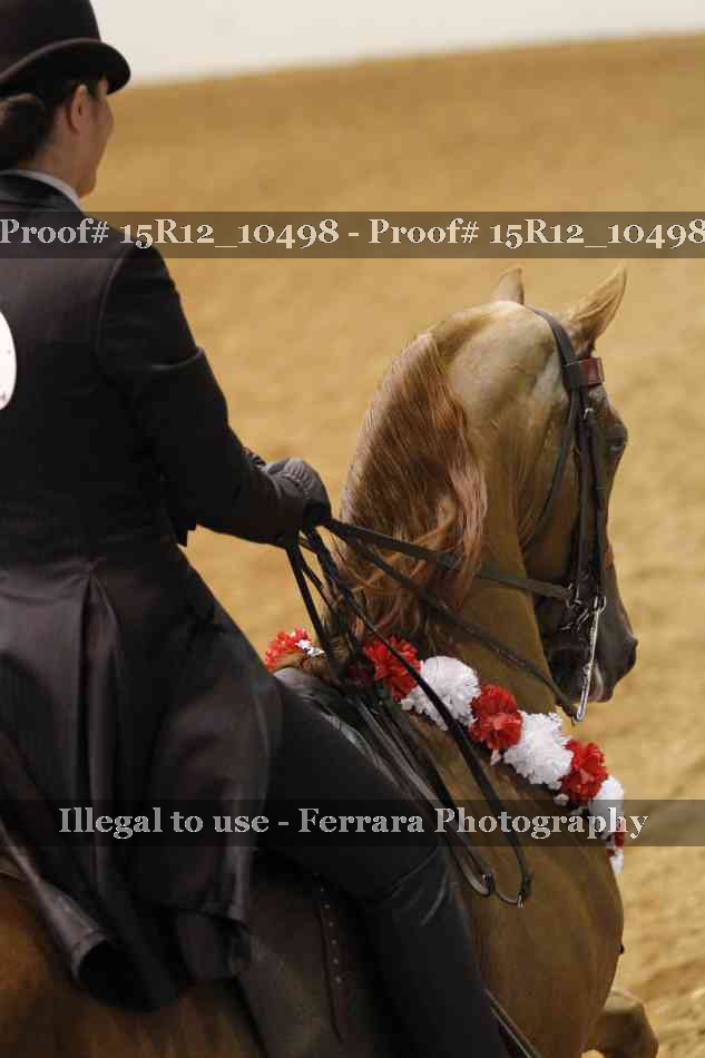 Proof Number 15R12_10498