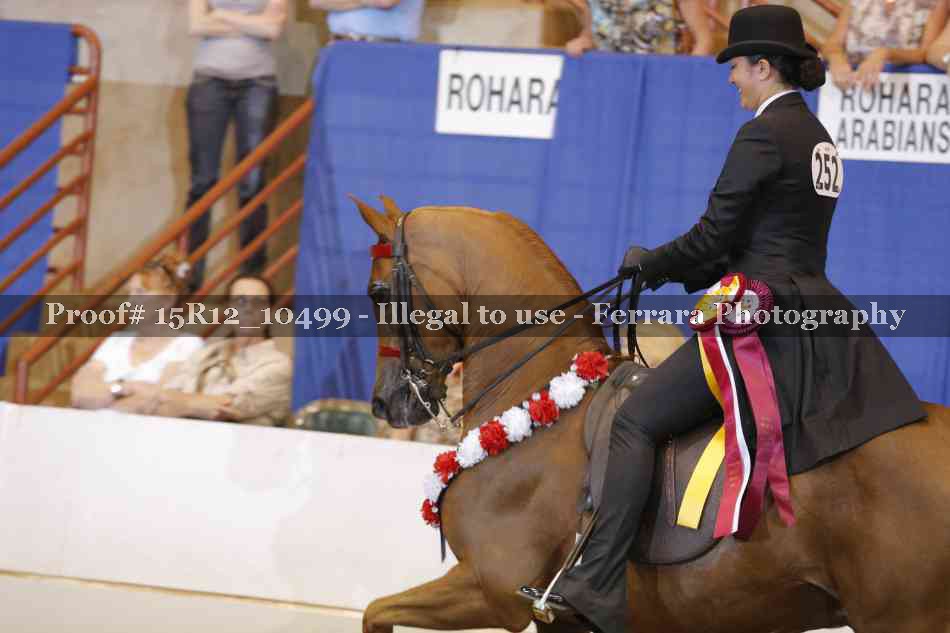 Proof Number 15R12_10499