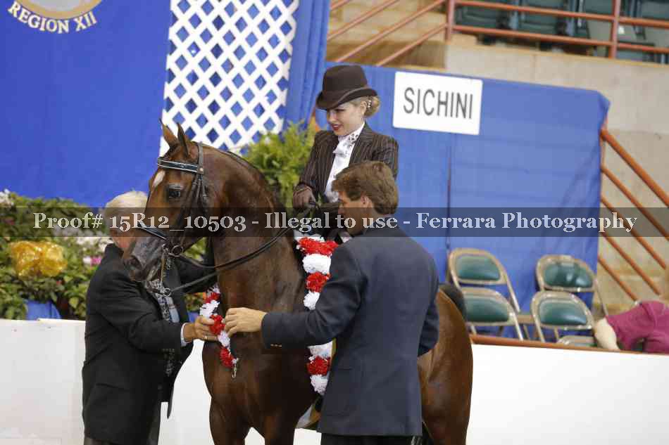 Proof Number 15R12_10503
