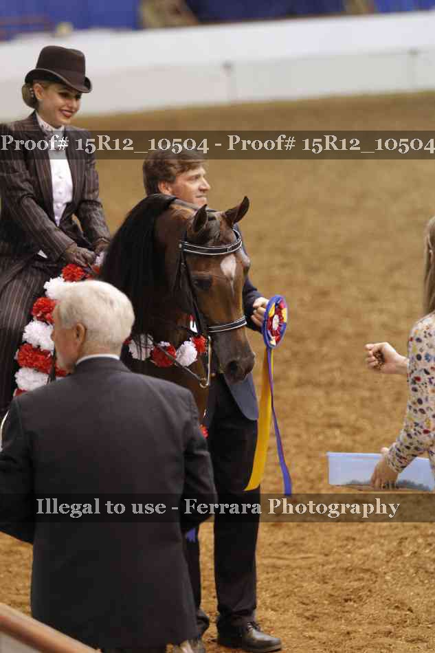 Proof Number 15R12_10504