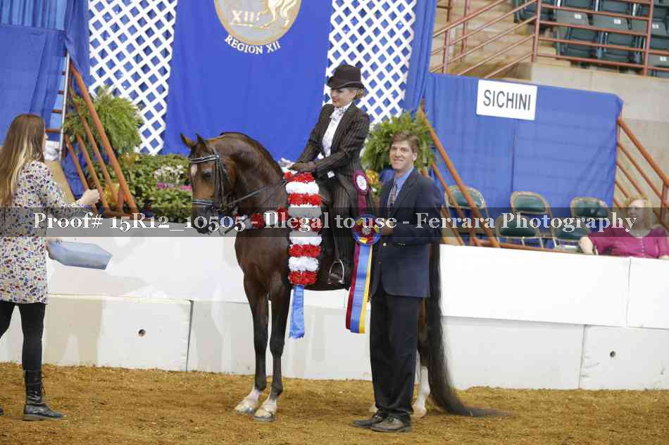 Proof Number 15R12_10505