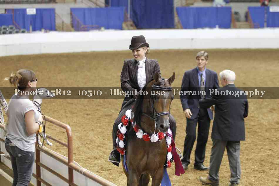 Proof Number 15R12_10510