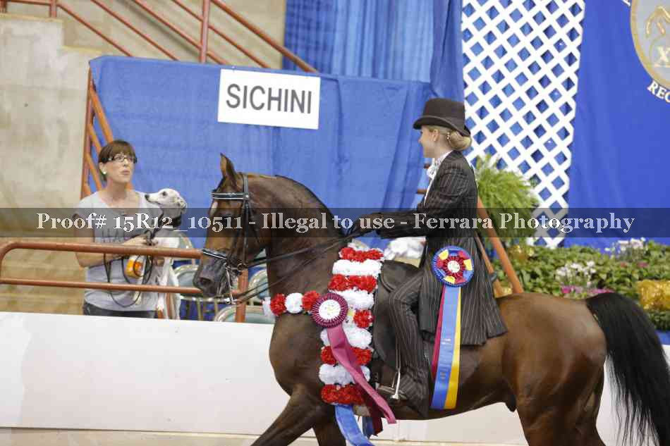 Proof Number 15R12_10511