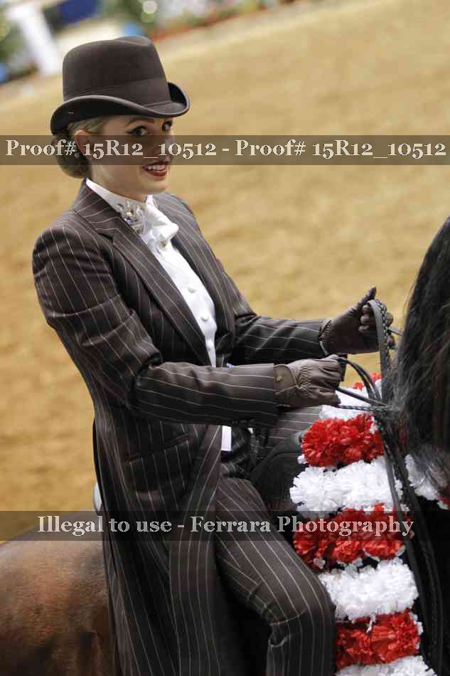 Proof Number 15R12_10512