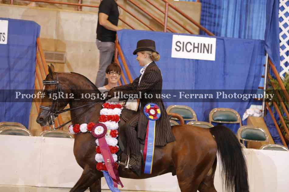 Proof Number 15R12_10513