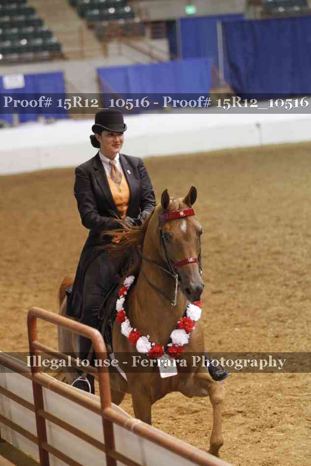Proof Number 15R12_10516