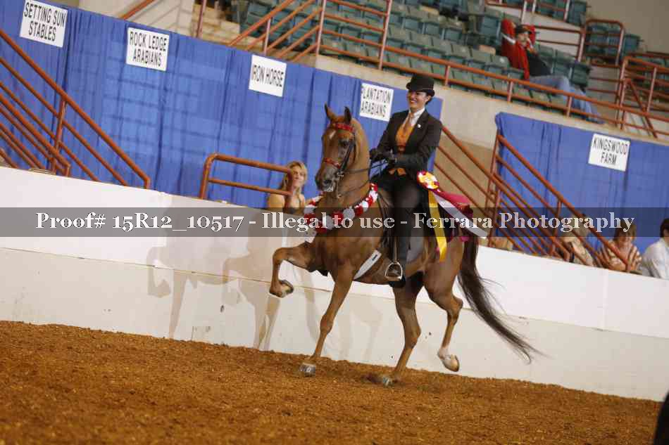 Proof Number 15R12_10517