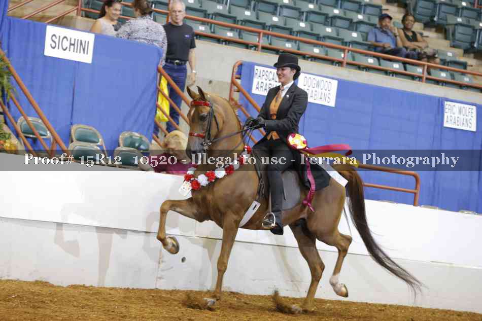 Proof Number 15R12_10520