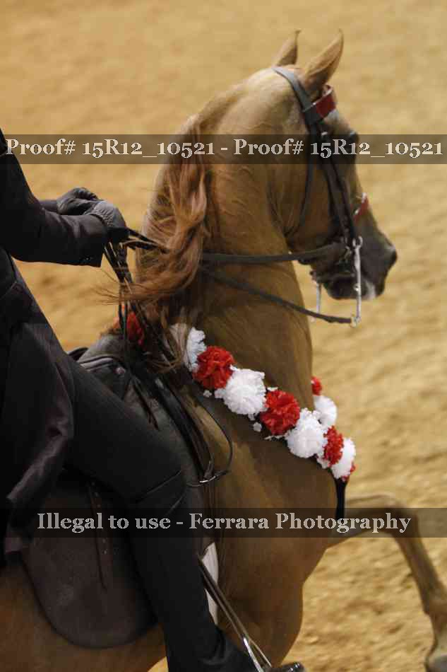 Proof Number 15R12_10521