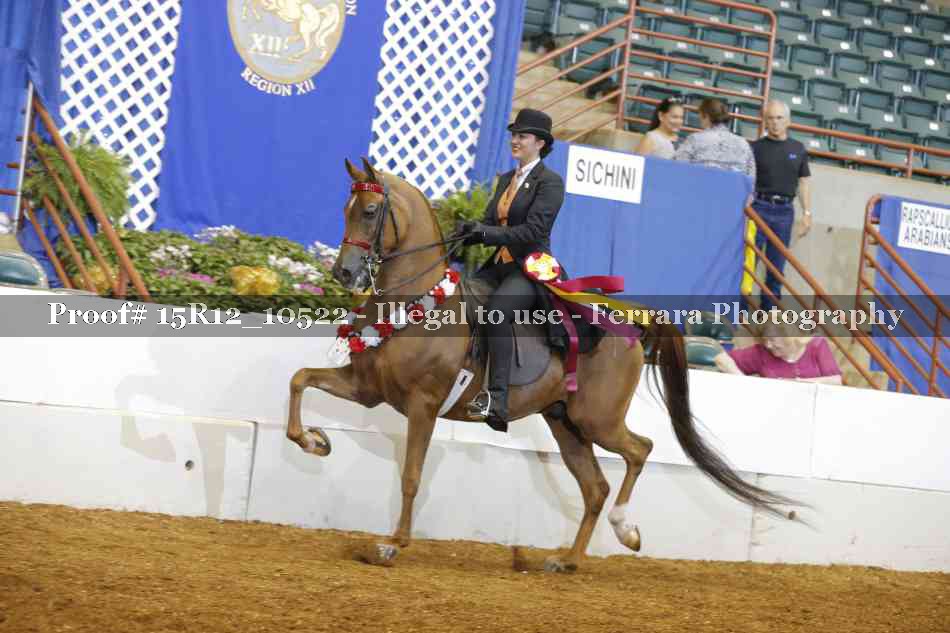Proof Number 15R12_10522