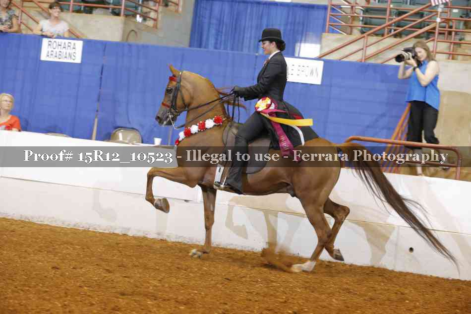 Proof Number 15R12_10523