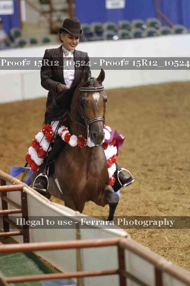 Proof Number 15R12_10524