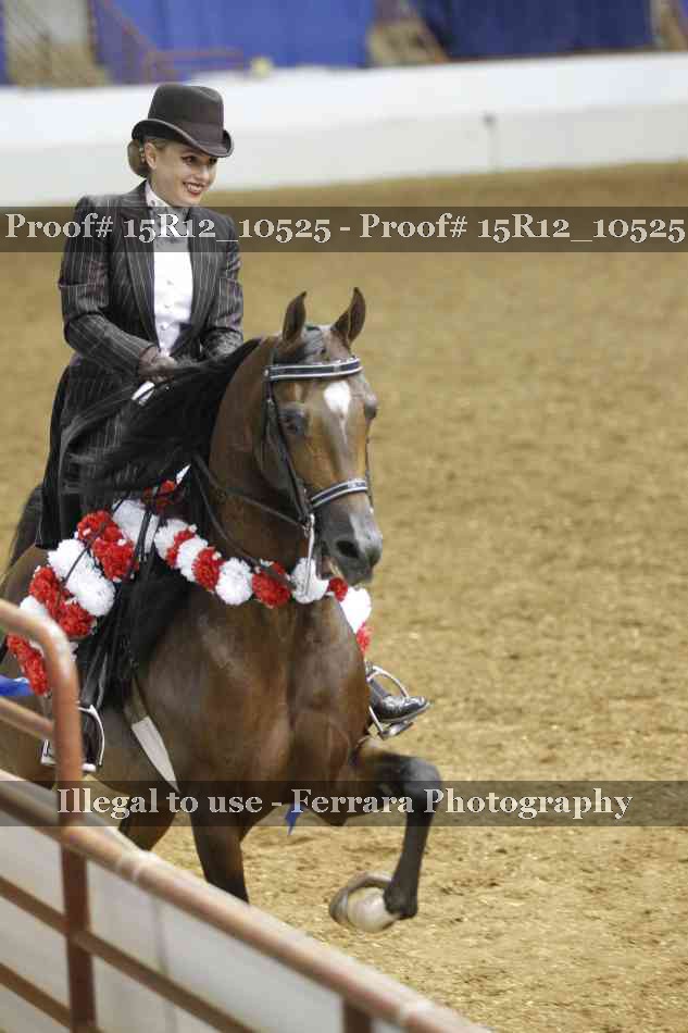 Proof Number 15R12_10525
