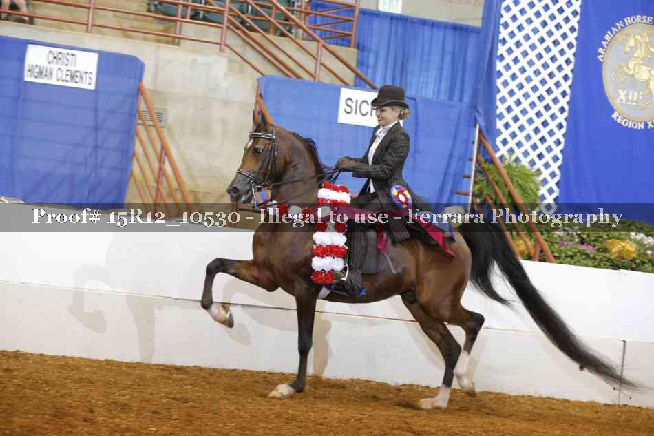 Proof Number 15R12_10530