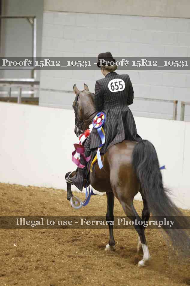 Proof Number 15R12_10531