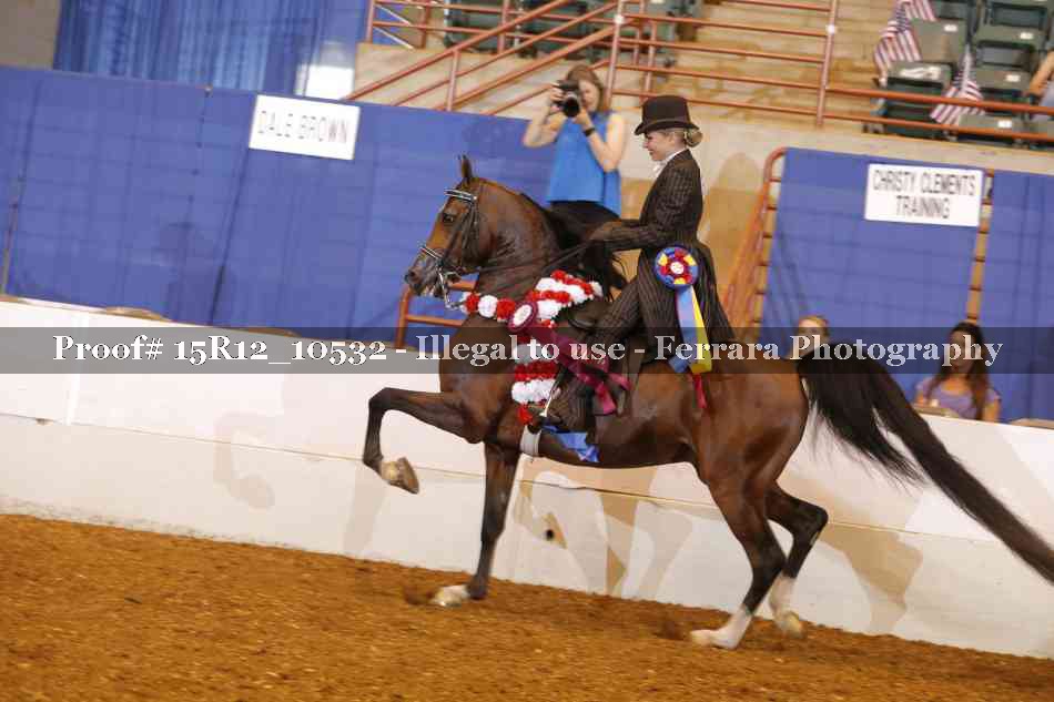 Proof Number 15R12_10532