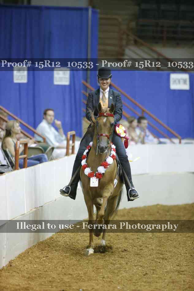 Proof Number 15R12_10533