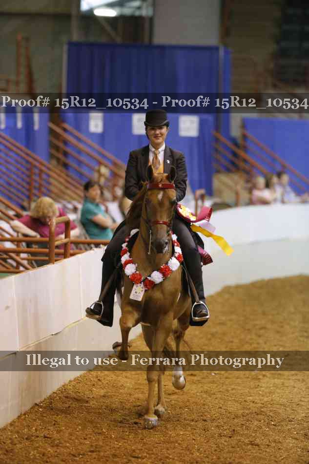 Proof Number 15R12_10534