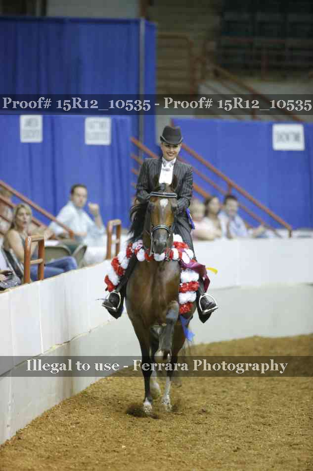 Proof Number 15R12_10535