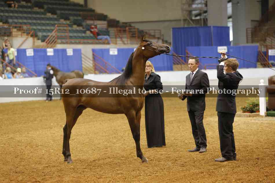 Proof Number 15R12_10687