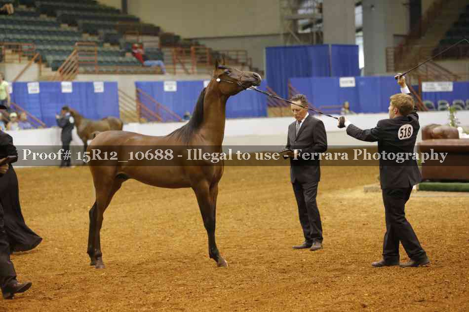 Proof Number 15R12_10688