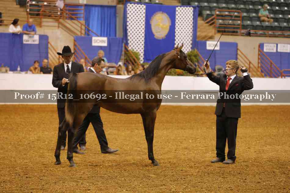 Proof Number 15R12_10692