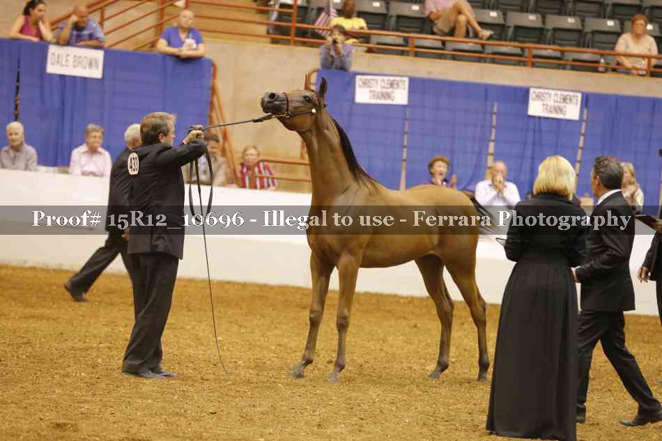 Proof Number 15R12_10696