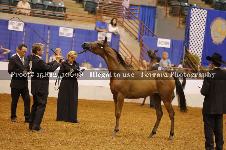 Proof Number 15R12_10698