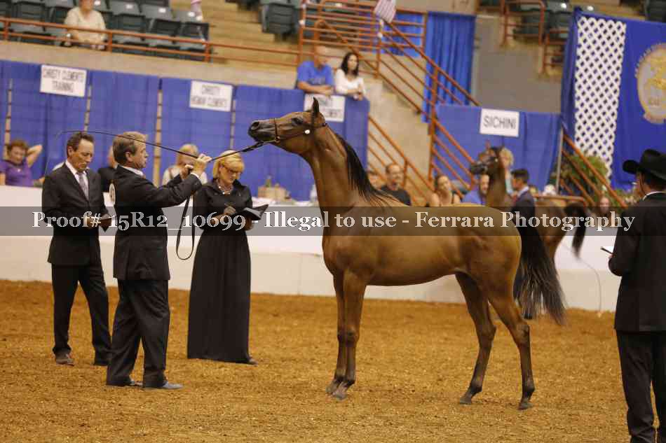 Proof Number 15R12_10699