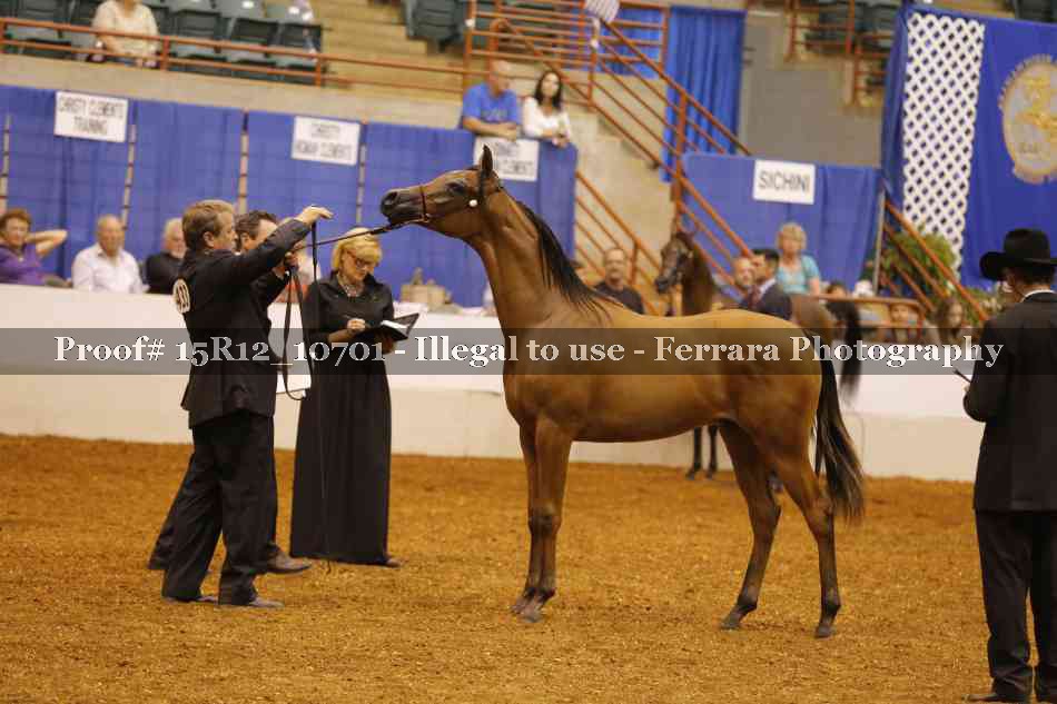 Proof Number 15R12_10701