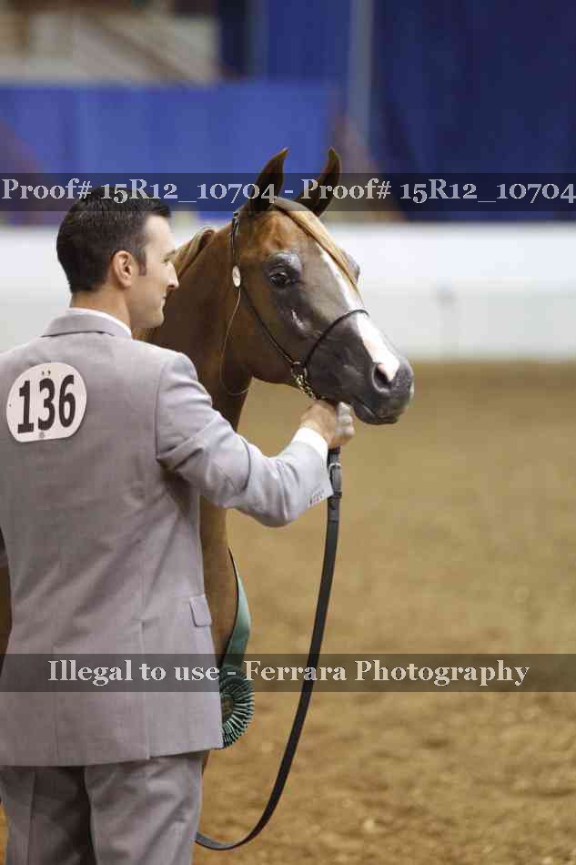 Proof Number 15R12_10704