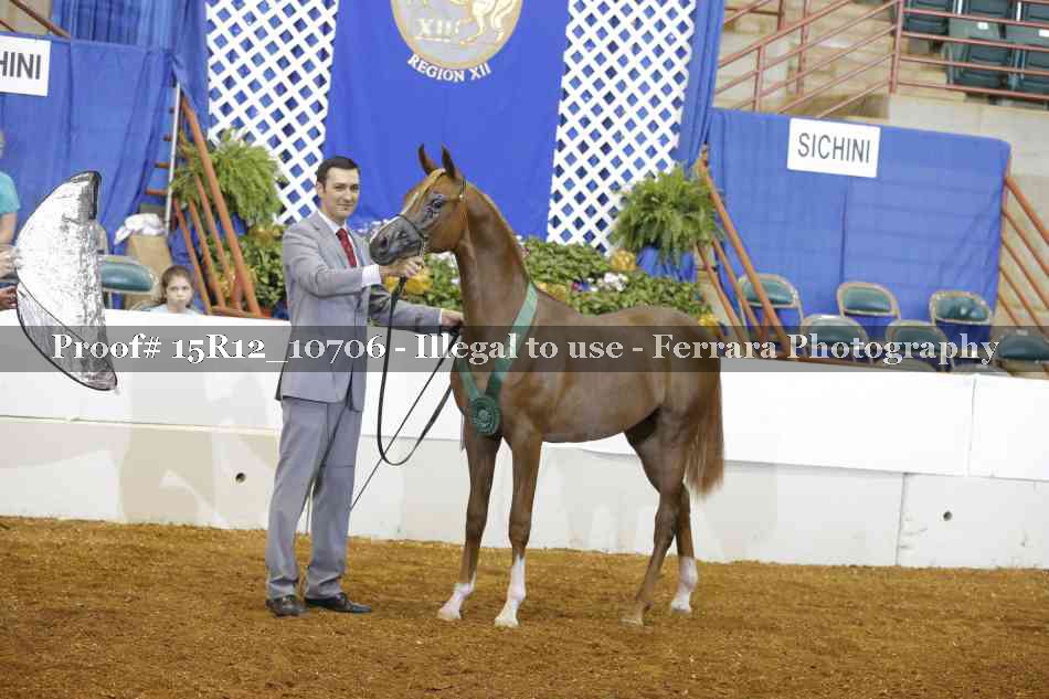 Proof Number 15R12_10706